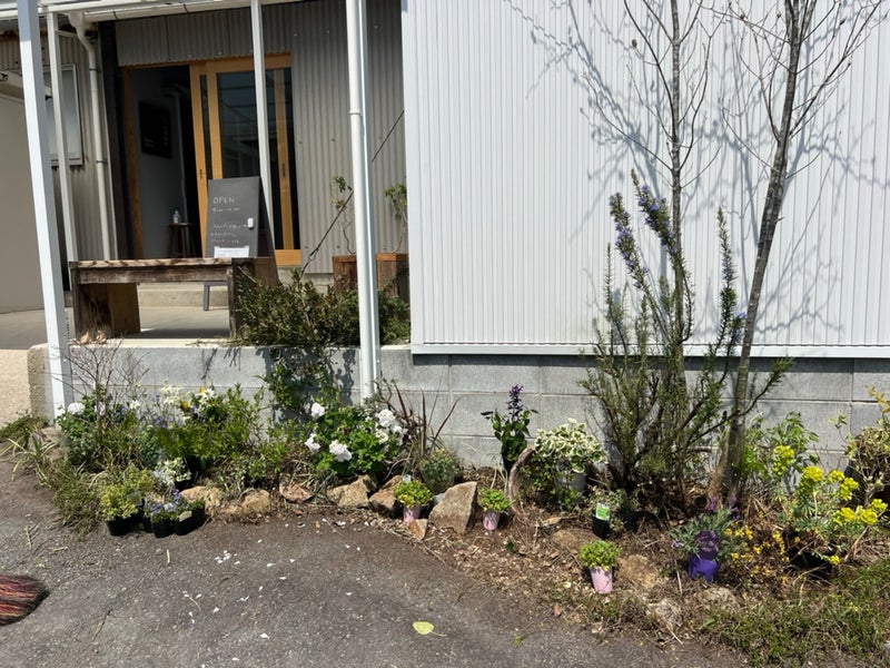 信楽 古谷製陶所様 ショールームのお庭に鹿が嫌う植物を植える